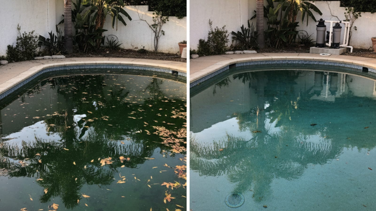 Side-by-side comparison of a green algae-filled pool before treatment and the same pool crystal clear blue after professional recovery